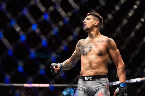 Ufc Light Heavyweight Rankings