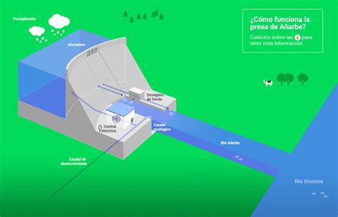 La Presa Aguas Del Añarbe Ciclo Del Agua