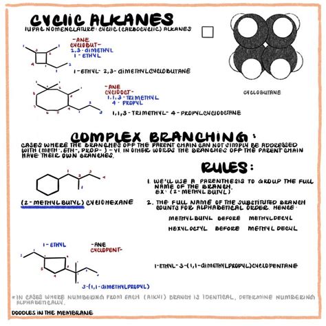 Iupac Systematic Nomenclature Of Cyclic Alkanes Organic Chemistry