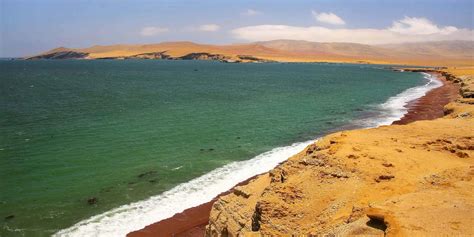 Paracas National Reserve Hx Hurtigruten Expeditions