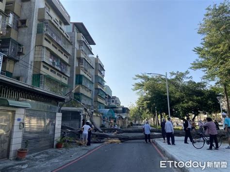 快訊／大晴天路樹也倒塌！高雄民宅遭狠砸 多輛機車被波及 Ettoday社會新聞 Ettoday新聞雲