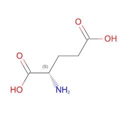 The Science Of Umami The Fifth Taste