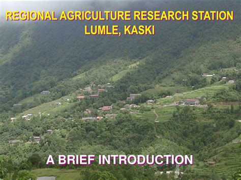 Ppt Regional Agriculture Research Station Lumle Kaski A Brief