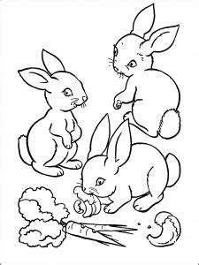 Cute bunny in the sunshine - Rabbits & Bunnies Kids Coloring Pages