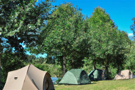 Bitten Lavendel Sehverm Gen Lucca Camping Start Obstgarten Offensichtlich