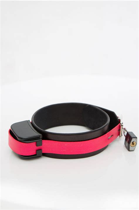 Shock Training Collar – Fancy Steel