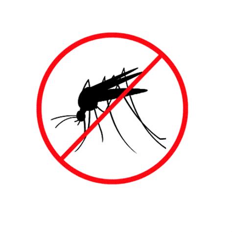 Mosquitoes Pest Control Service At Rs 3square Feet Indoor Mosquito