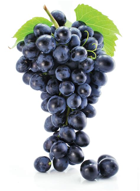Grape Seed Extract Benefits Grow Widely - Nutrition Industry Executive ...