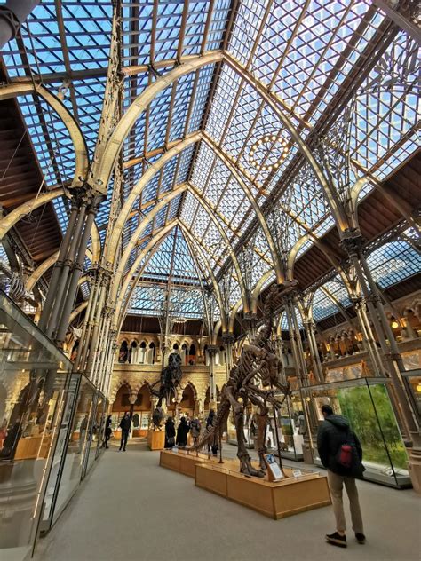 Oxford University Museum Of Natural History