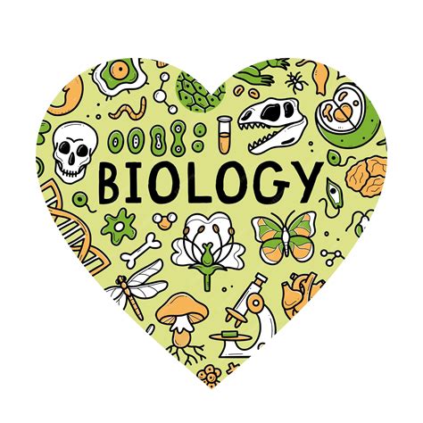 A Biologia Da Crença 2