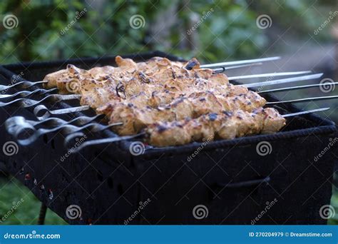 Delicious Meat Skewers On Brazier During Picnic Stock Image Image Of