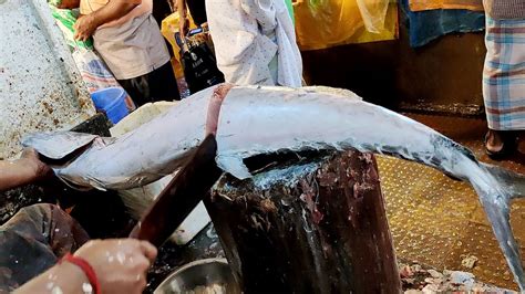 Amazing Seer Fish Cutting Skills Expert Cutting Seer Fish In South