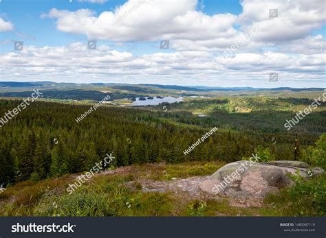 Swedish Landscape Pine Trees Hills Lake Stock Photo 1480947119