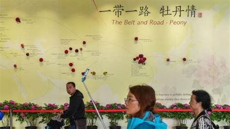 Belt And Road Initiative BRI Challenges And Future Prospects