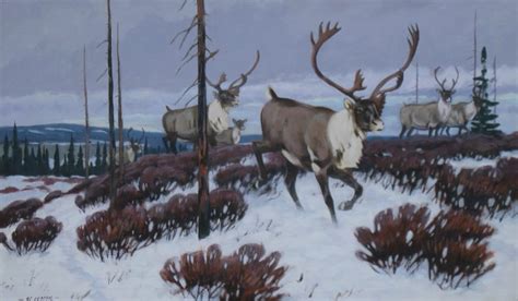 Caribou Painting at PaintingValley.com | Explore collection of Caribou ...