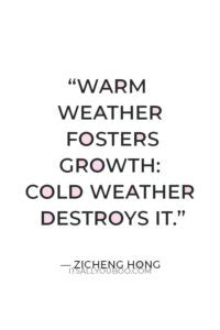 Very Hot Weather Quotes To Beat The Heat