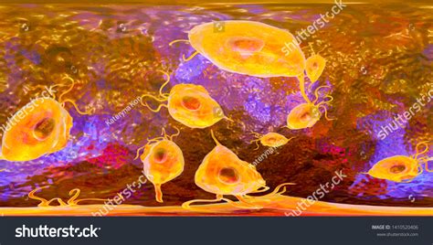 Trichomonas Vaginalis Protozoan 360degree Spherical Panorama Stock Illustration 1410520406