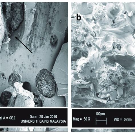 Sem Images Of Tensile Fractured Composite Materials Made Of A