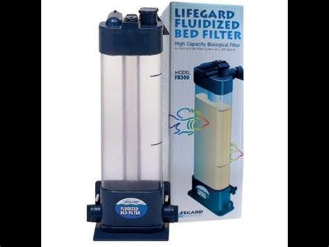 Why Is A Fluidized Bed Filtration Aquarium System Important Set Up