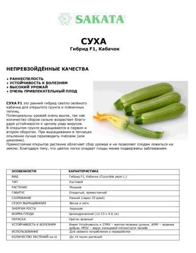 Суха F1 (SUHA) - кабачок. Характеристики и отзывы