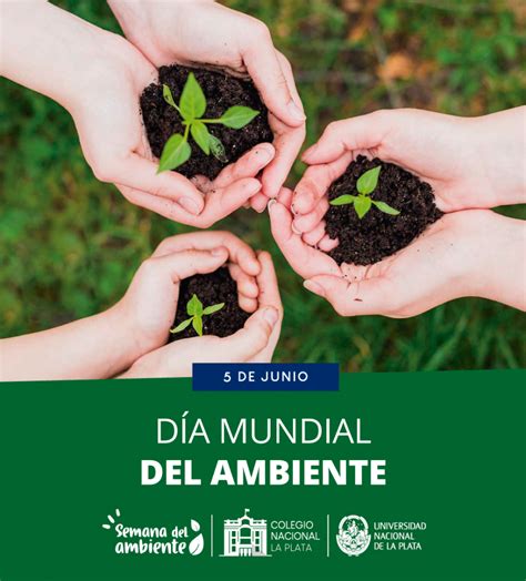 De Junio D A Mundial Del Ambiente