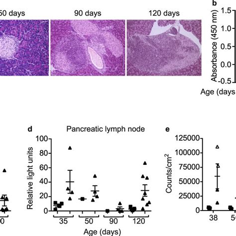 1. Simulation of the model for NOD mice that do not become diabetic ...