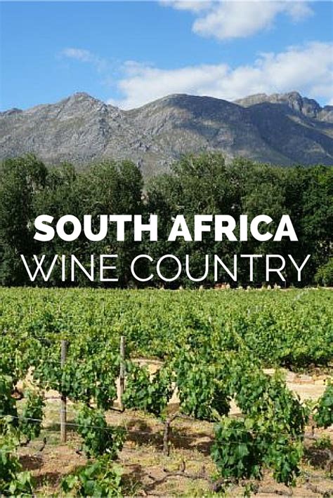 Pinotage, Pinot Gris or Pinot Noir!? South African Winelands | South ...