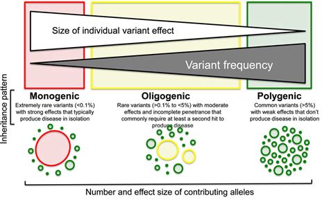 Figure 6 from Determinants of incomplete penetrance and variable expressivity in heritable ...