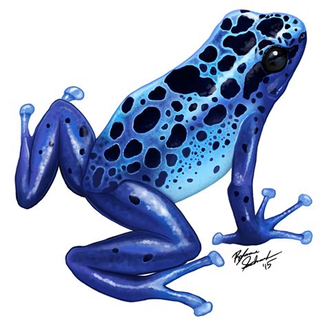 Blue Poison Dart Frog By Winternacht On Deviantart