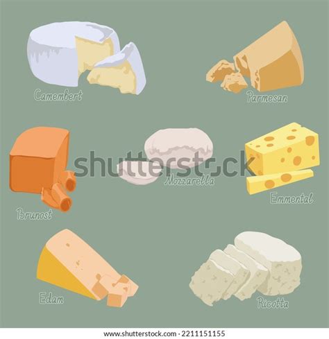 Different Types Cheeses Hard Soft Stock Vector (Royalty Free ...