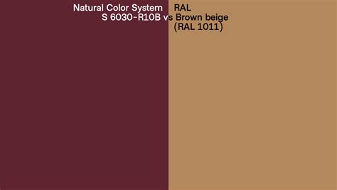 Natural Color System S 6030 R10B Vs RAL Brown Beige RAL 1011 Side By