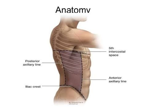 Principle of management of rt flank pain