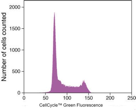 Cellcycle™ Green Stain Abp Biosciences