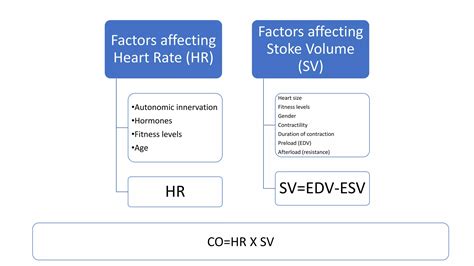 Cardiac Output And Its Regulation Pptx