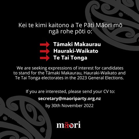 Te Pāti Māori