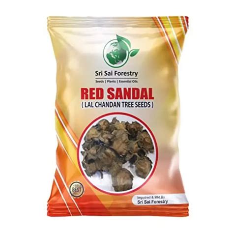 Red Sandalwood Tree Seeds - Buy Premium Seeds from Sri Sai Forestry ...