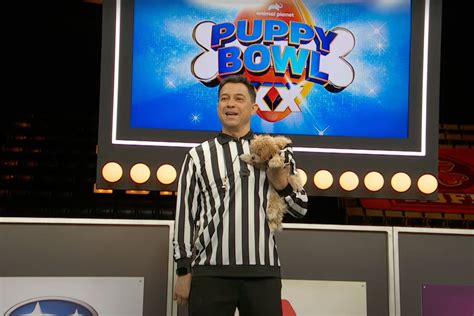 How to Watch the 2024 Puppy Bowl, Including Where to Stream Puppy Bowl 2024