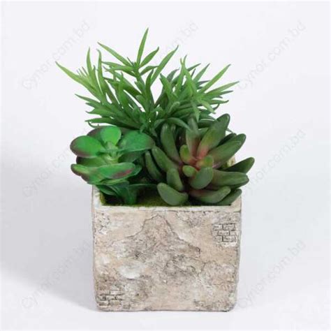 Ultra Realistic Heavyweight Pot With Succulent And Cactus Arrangement