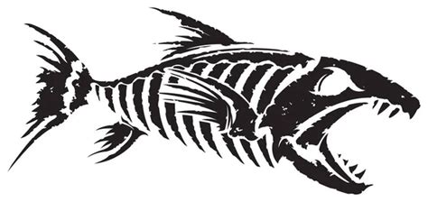 Fish Skeleton Vector Image By SlipFloat Vector Stock 7608217