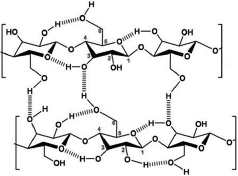 Structural formula of cellulose. | Download Scientific Diagram