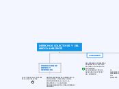 Derechos Colectivos Y Del Medio Ambiente Mind Map