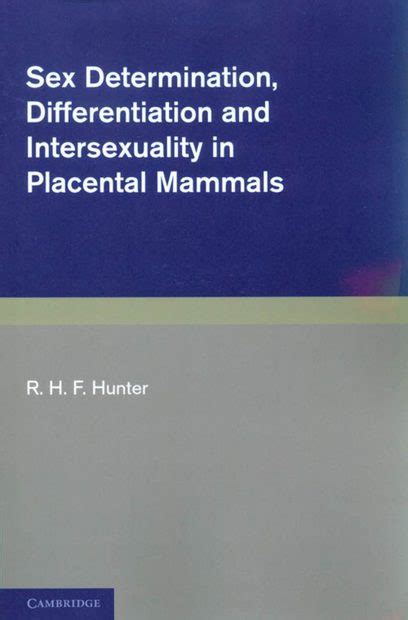 Sex Determination Differentiation And Intersexuality In Placental