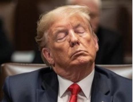 Trump Se Queda Dormido En La Corte Y Se Convierte En El Meme Del Don