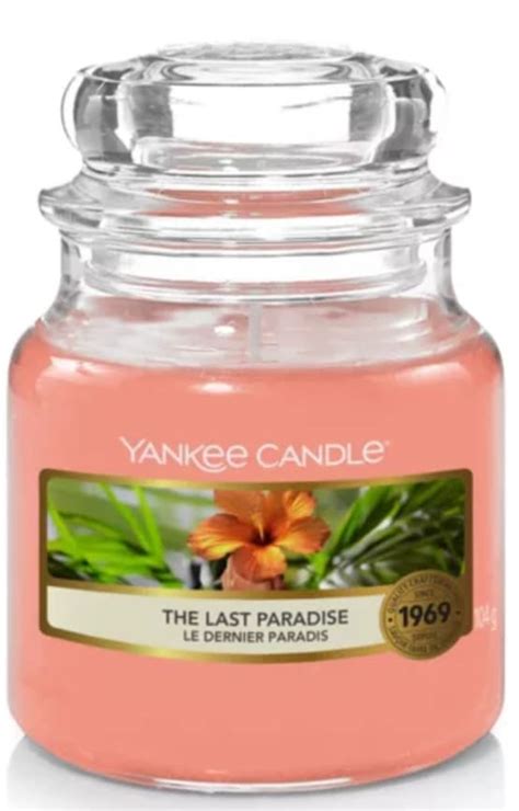 Yankee Candle Petite Jarre Le Dernier Paradis X H Cm Gamm