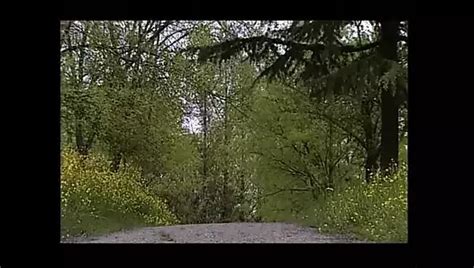 Francesco Malcom Porn Videos 2024 Porn Star Sex Scenes XHamster