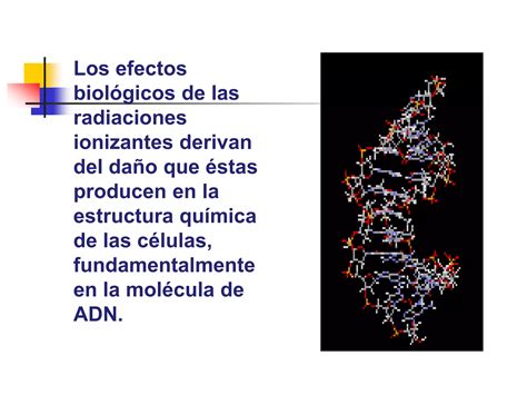 Efectos Biologicos Radiaciones Ionizantes PPT