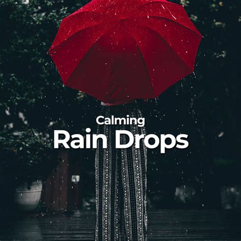 Calming Rain Drops Album By Calming Music Academy Spotify