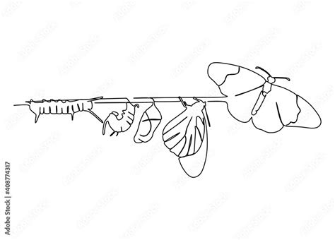 Butterfly metamorphosis phases on a tree trunk. Continuous one line drawing Stock Vector | Adobe ...