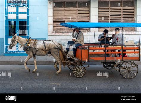 Carro De Caballos