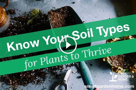 Know Your 6 Soil Types For Plants to Thrive - Smart Garden and Home